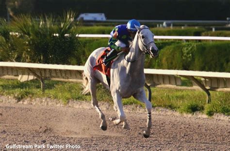Instant access for Gulfstream Park West Race Results, Entries, Post Positions, Payouts, Jockeys, Scratches, Conditions & Purses for October 13, 2014. . Gulfstream park west results today